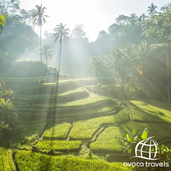 bali1