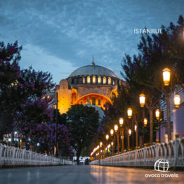 Experience Turkey in Style!  5* Istanbul & Antalya Group Tour Escape