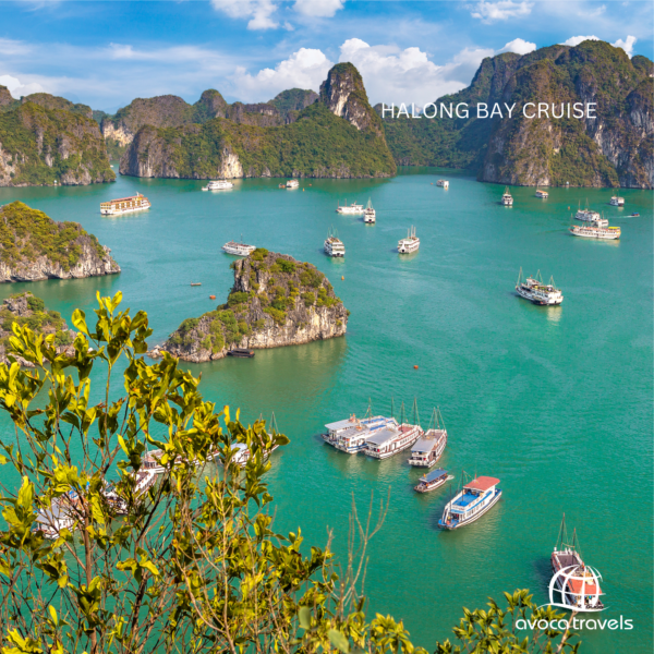 halong bay cruise