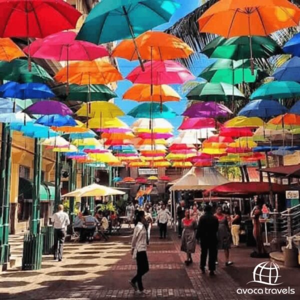 ocean v mauritius 12