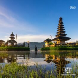 Bali Deals