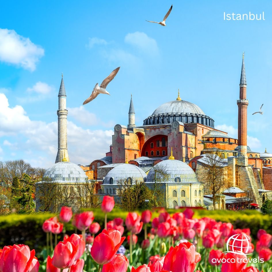 July Dubai & Turkey Group Tour