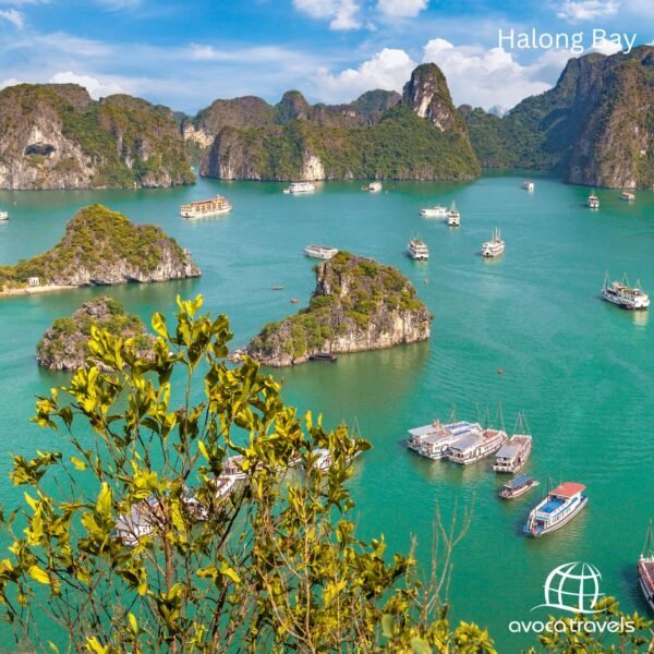 vietnam - 4
