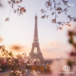 Three Icons of Europe: Paris, Brussels & Istanbul Escape