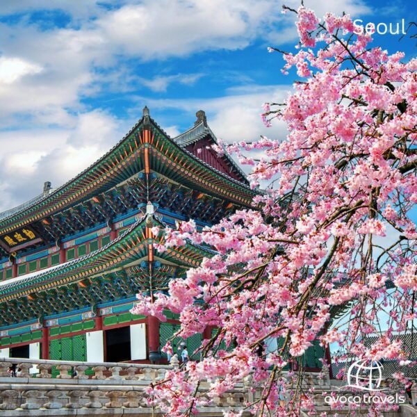 seoul - 1