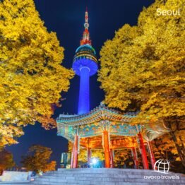 10 Days Seoul Korea, Macau & Hong Kong