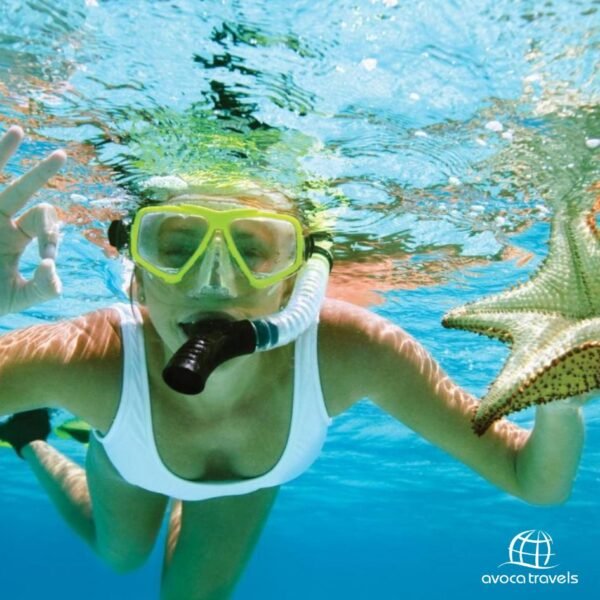 solana beach mauritius - 5