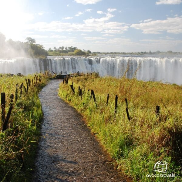 vic falls - 4