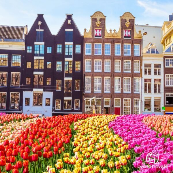 amsterdam - 1