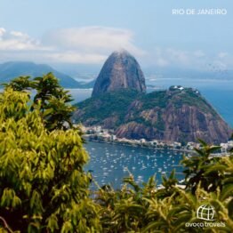 Feel the Rhythm of Brazil! 9 Days Rio, Sao Paulo & Iguazu Falls Getaway