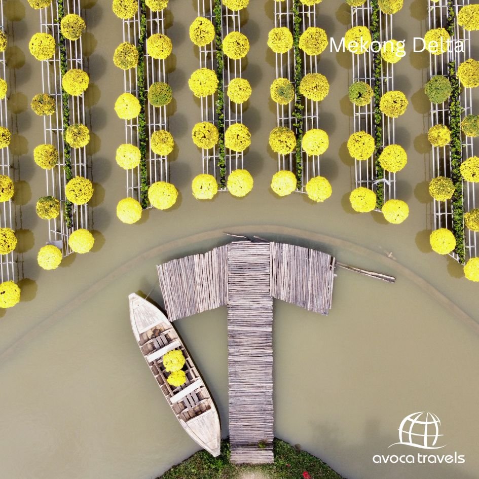 mekong delta - 3