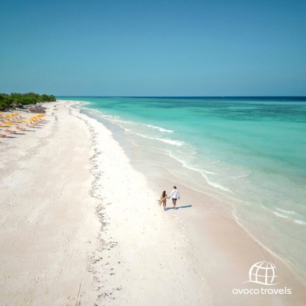 mora zanzibar - 8