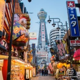 Discover Japan – Osaka & Tokyo Adventure!
