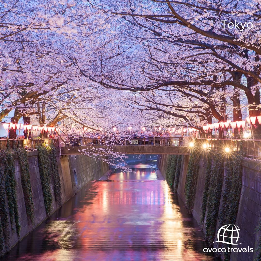 Cherry Blossom Japan – 5 Nights Tokyo