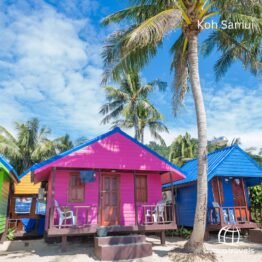 Singapore & Koh Samui