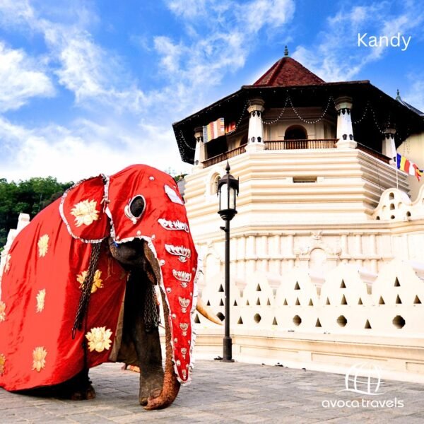 Kandy - 1