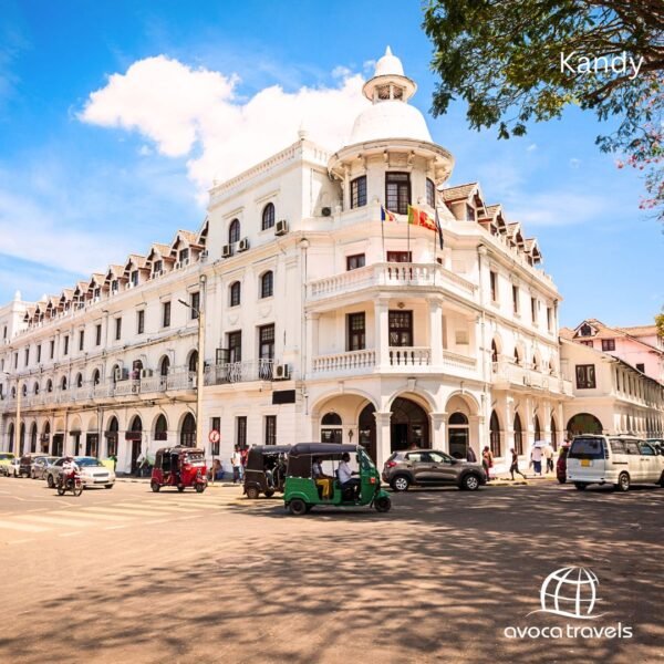 Kandy - 3