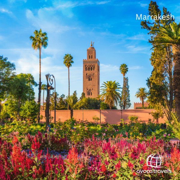 marrakesh - 2
