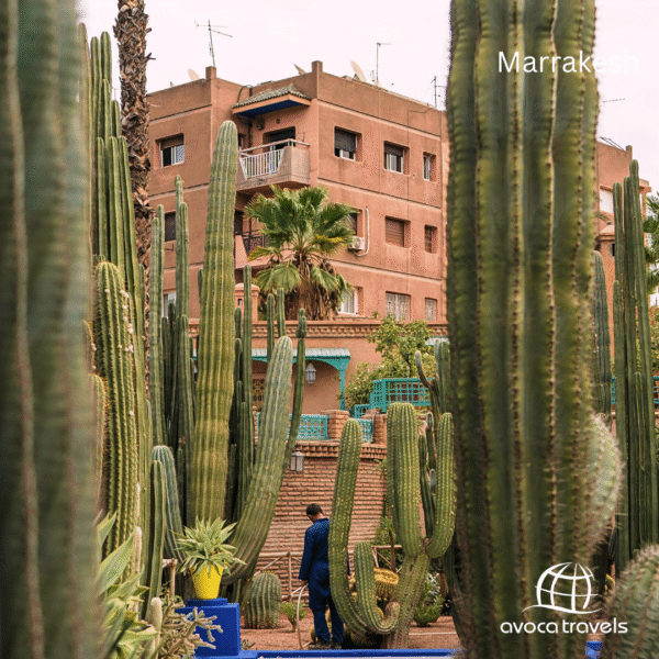 marrakesh - 3
