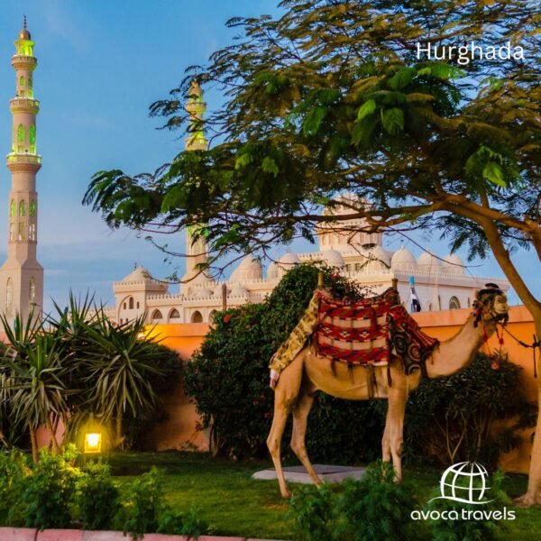 hurghada (5)