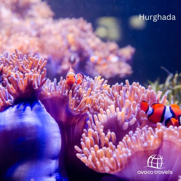 hurghada (6)