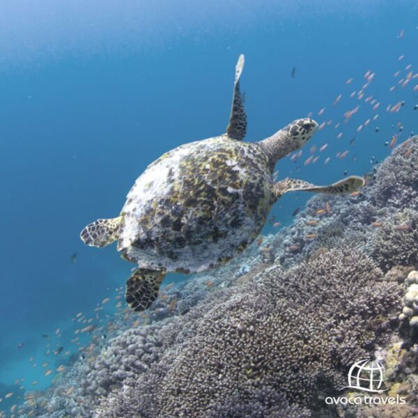 web - hotel dona ana mozambique (6)