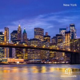 5 Nights Under the New York Stars