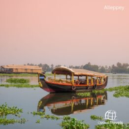 South India Group Tour  “Cruising Kerala: Backwaters, Beaches & Culture”