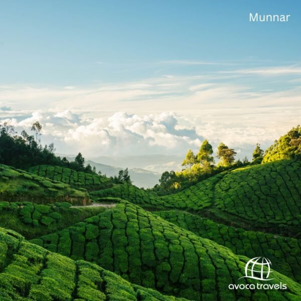 Munnar