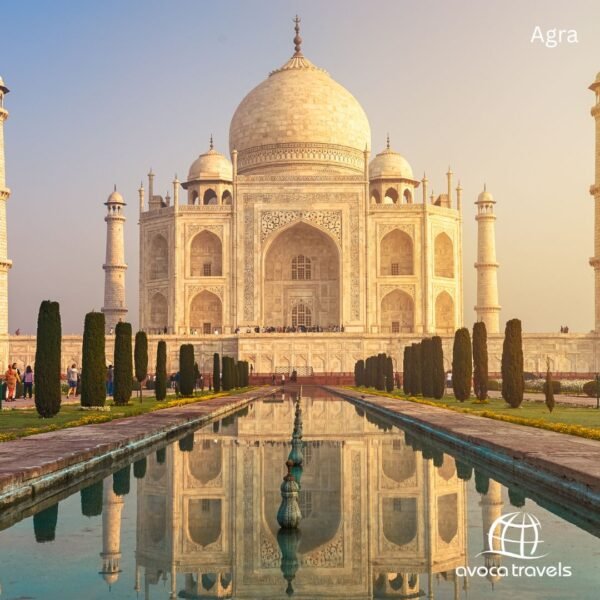 agra (2)
