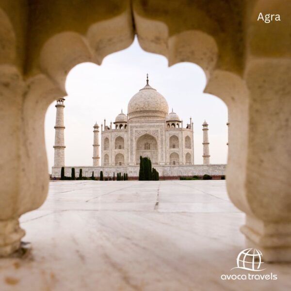 agra (4)