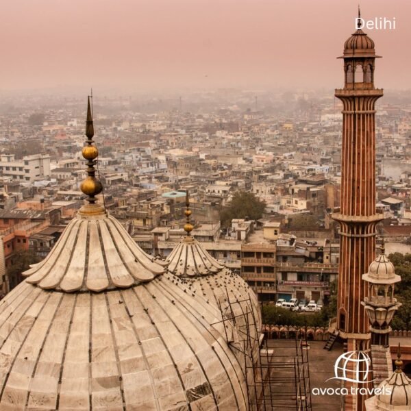 delhi (3)