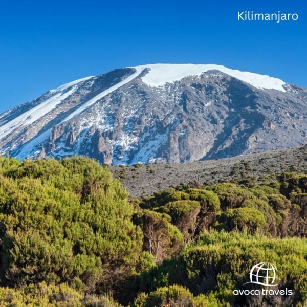 Kilimanjaro (2)