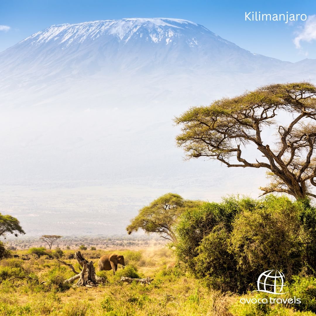 Kilimanjaro