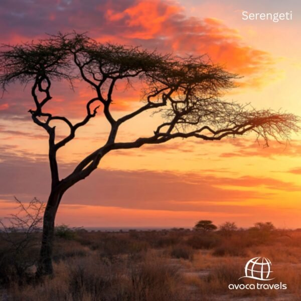 Serengeti (2)