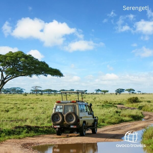 Serengeti (5)