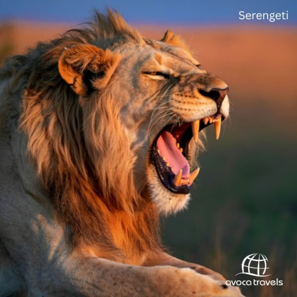 Serengeti