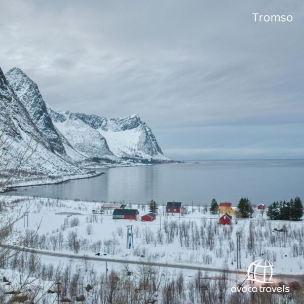 Tromso (3)
