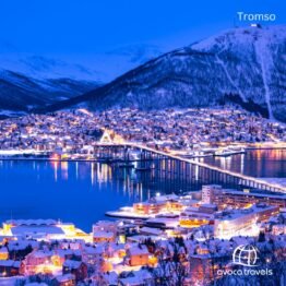 Christmas in Tromso
