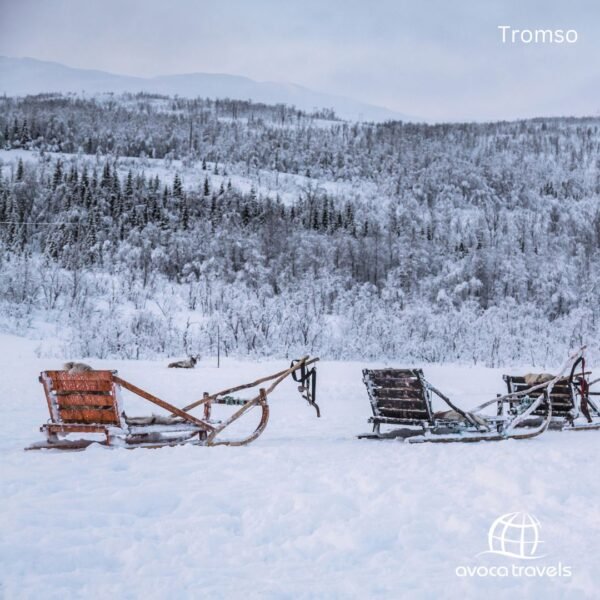 Tromso (5)