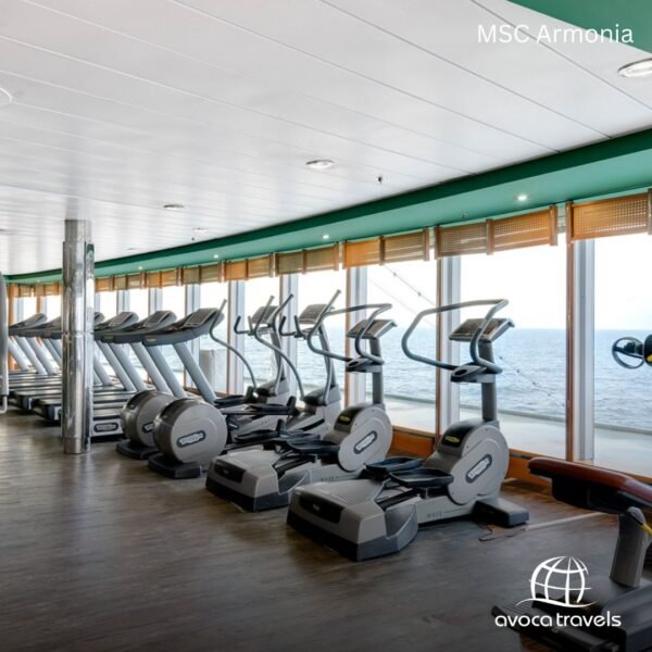 MSC Armonia (7)