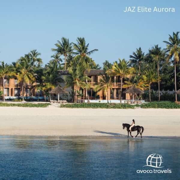 JAZ ELITE AURORA (6)
