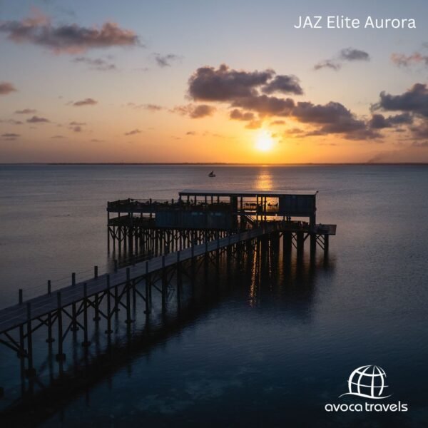 JAZ ELITE AURORA (8)