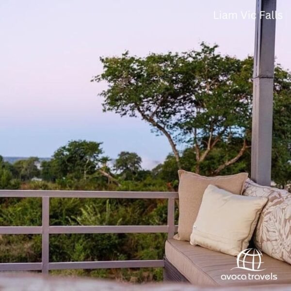 Liam Vic Falls