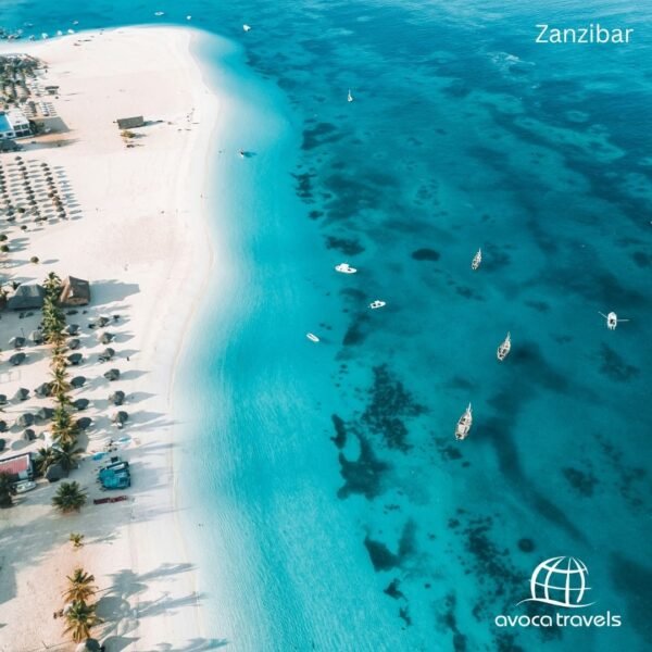 zanzibar - 31