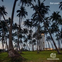 SRI LANKA – THE PEARL OF THE INDIAN OCEAN