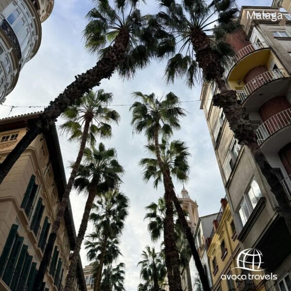 Malaga (15)