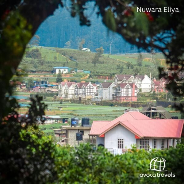 Nuwara Eliya (2)